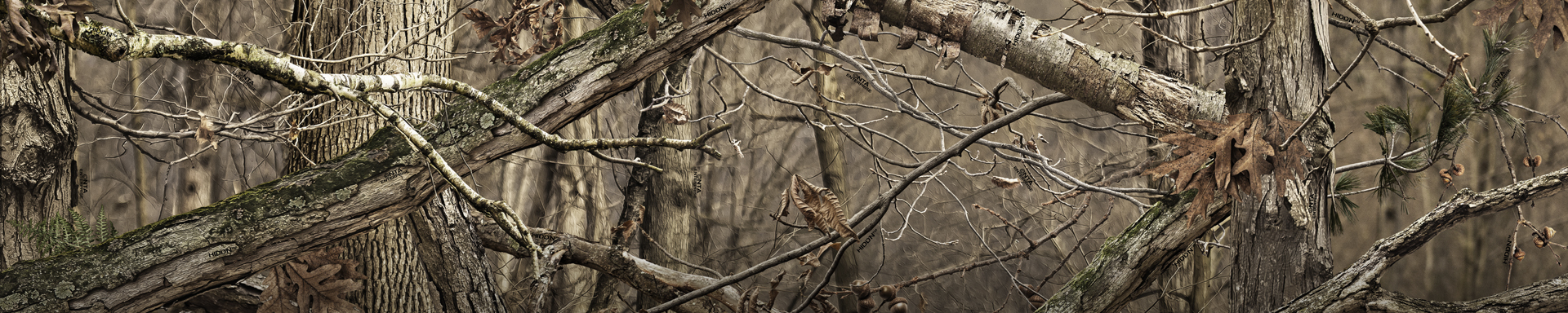 camo-hiddn-footer.jpg camo-hiddn-footer.jpg